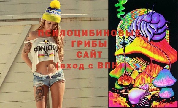 тгк Майский