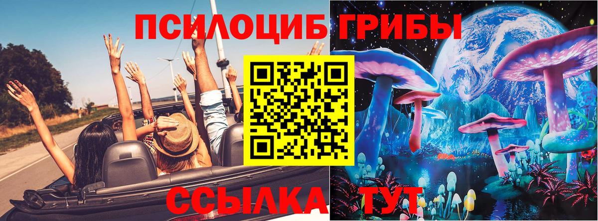 Псилоцибиновые грибы мухоморы  Вход с VPN  Псилоцибиновые грибы Psilocybe  где купить наркотик  Петропавловск-Камчатский 