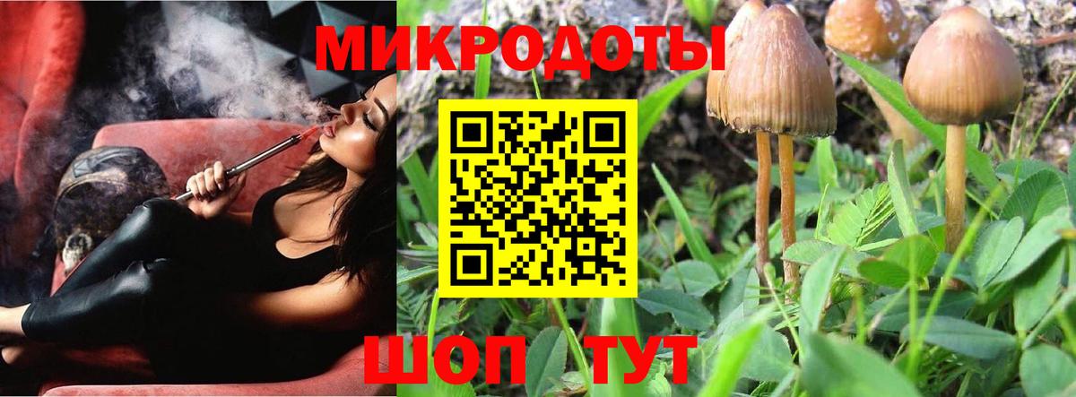 Галлюциногенные грибы мухоморы  Петропавловск-Камчатский 